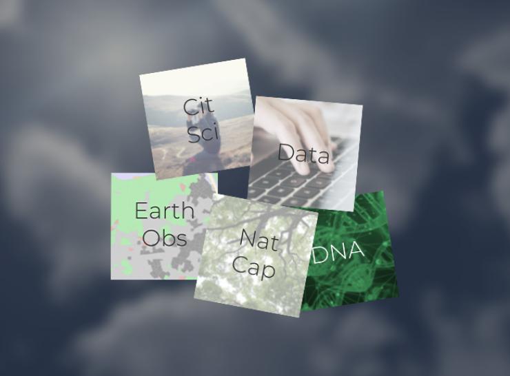 UKEOF Working Groups